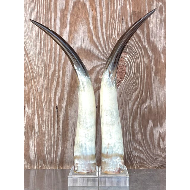 Vintage Boho Custom Horns on Lucite - a Pair For Sale - Image 4 of 6