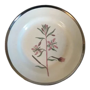 1810 English George III Creamware Botanical Plate with Hand Painted Specimen & Silver Luster Border