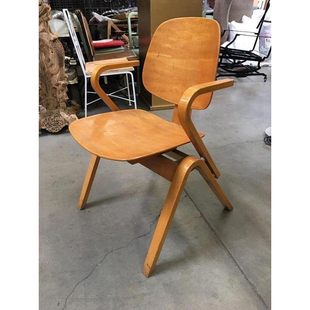 1950s Attributed to Joe Atkinson for Thonet Plywood Armchairs - Set of 5 For Sale - Image 9 of 10