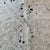 2000 - 2009 Brazilian Speckled Tricolor Cowhide Rug 69" X 90" For Sale - Image 5 of 5