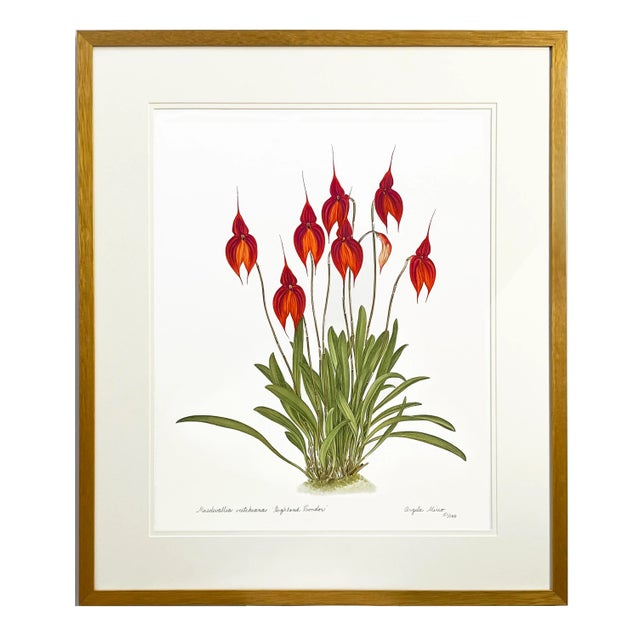 White Large Orchid Giclee Prints Hand-Retouched by Angela Mirro - Set of Three Framed Prints - For Sale - Image 8 of 18