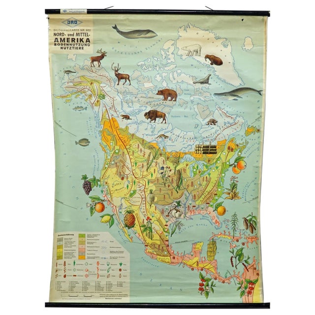 Textile North America Land Use and Livestock Picture Map, 1970s For Sale - Image 7 of 7