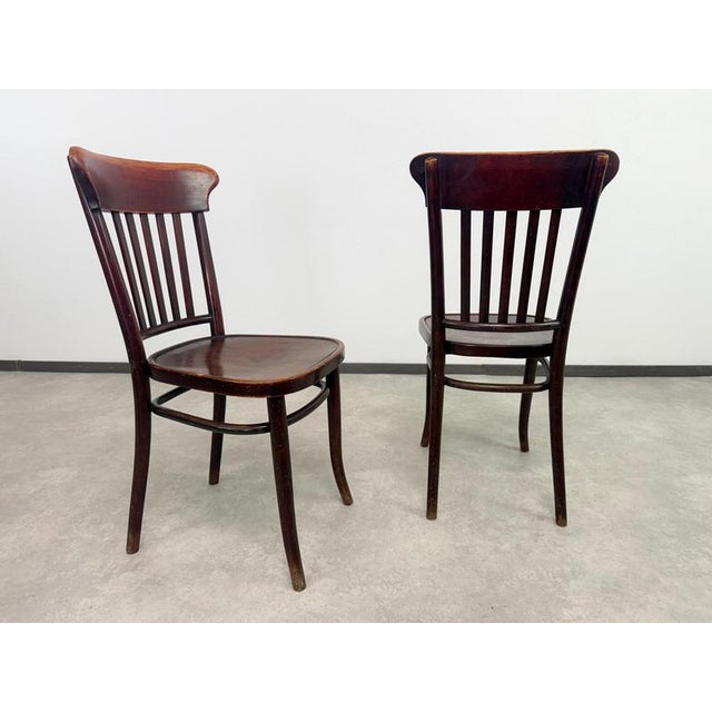 Vintage Bentwood Dining Chairs from Thonet, 1920s, Set of 10 For Sale - Image 6 of 14
