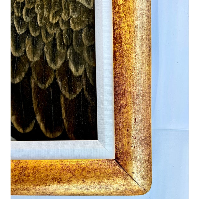 American Bald Eagle Framed Animal Art, Oil on Canvas Lynn Chase Signed 1980 For Sale - Image 14 of 15