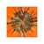 Showcasing a detailed pheasant feather pattern in warm butternut tones, this dish adds a rustic elegance to your space....