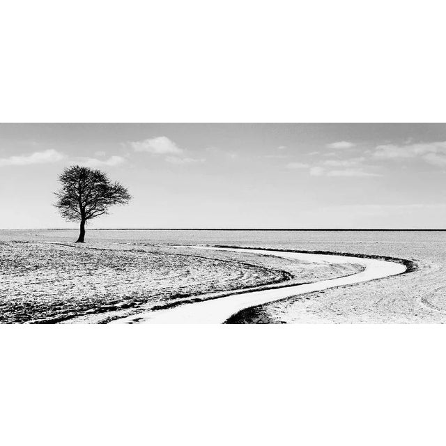Quiet - Limited edition pigment print - Limited Editions of 8 Field under the snow, peaceful landscape with only one tree...