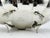 1960s Mexican Silver Plate Center Bowl With Abalone Fish Handles, Signed a.c.t. Taxco For Sale - Image 16 of 18