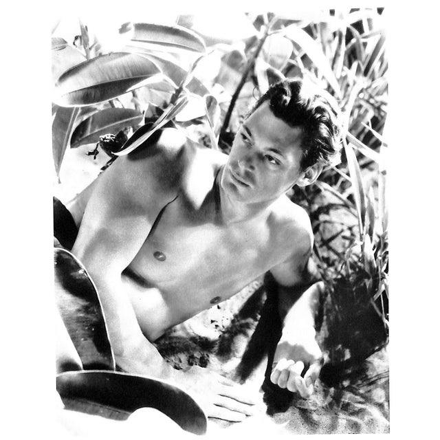 "Cecil Beaton: Electa Editrice Portfolios" 1982 Palazzoli, Daniela For Sale - Image 11 of 12