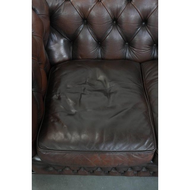 Vintage Chesterfield Two-Seater Sofa in Dark Brown Cowhide For Sale - Image 5 of 18