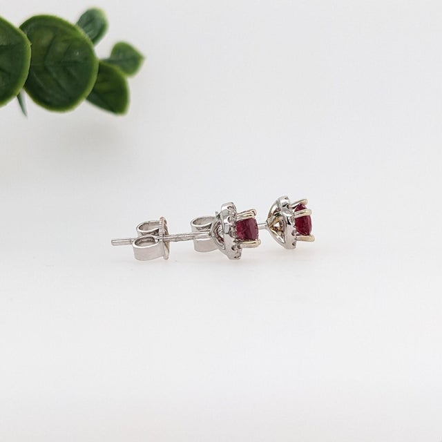 2020s Pretty Mozambique Ruby Studs With Natural Diamond Halo in Solid 14k White Gold For Sale - Image 5 of 6