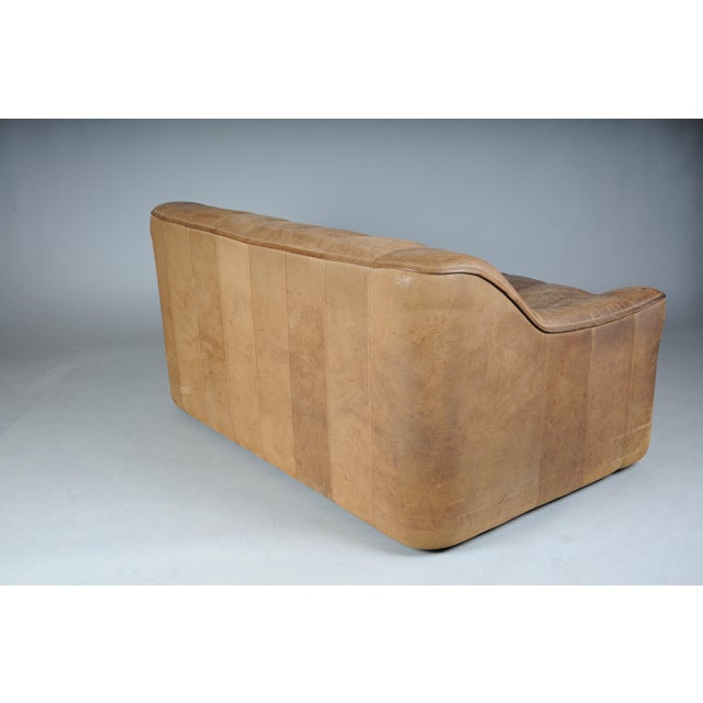 Animal Skin Vintage DS44 Two-Seater Buffalo Leather Sofa from de Sede, 1970s For Sale - Image 7 of 18