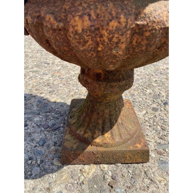 Cast Iron French Classical Style Urn Form 17" Outdoor Garden Planter With Faces For Sale In Philadelphia - Image 6 of 13