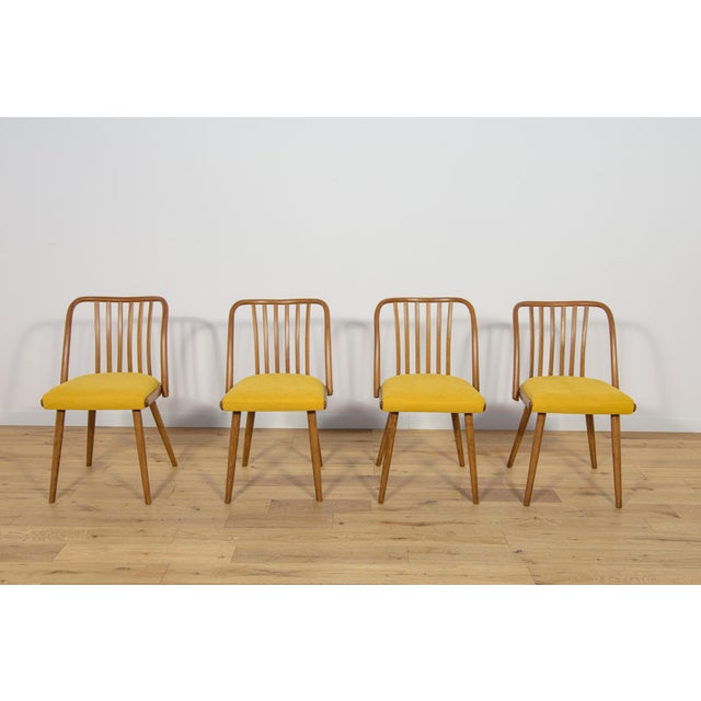 Mid-Century Modern Dining Chairs by Antonín Šuman for Ton, 1960s, Set of 4 For Sale - Image 3 of 18
