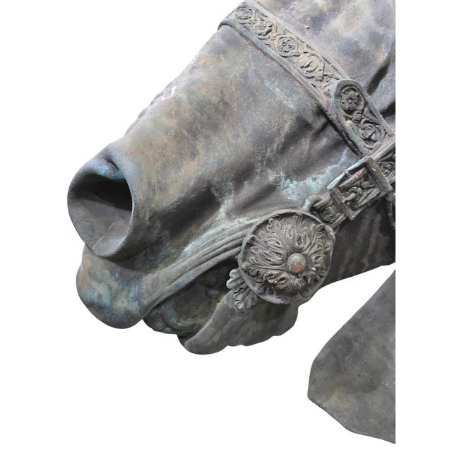 Fernando Sánchez Castillo, Horse Head, 2004, Bronze For Sale - Image 9 of 15