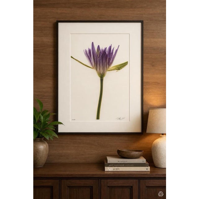 “Paul Solberg Signed Fine Art Photograph, Salute 2006, Limited Edition 20/20, Purple Water Lily Bloom Series Print, Botanical Wall Art” For Sale - Image 16 of 16