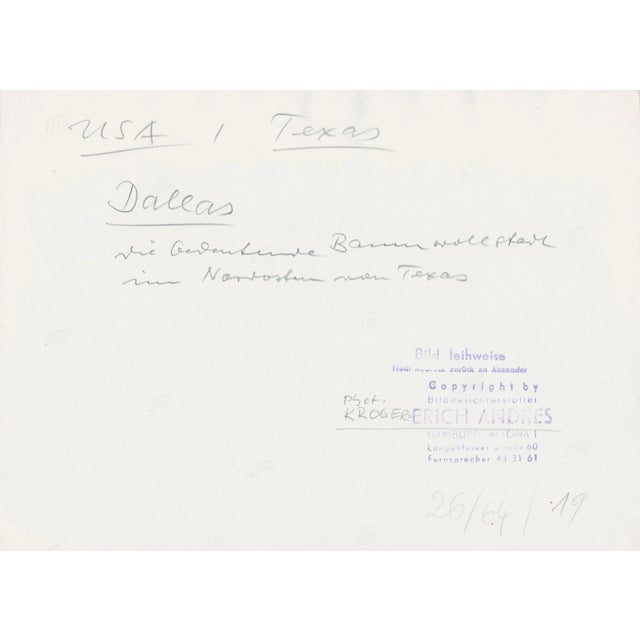 Dallas, Texas, USA, 1960s, Black & White Photograph For Sale - Image 4 of 5