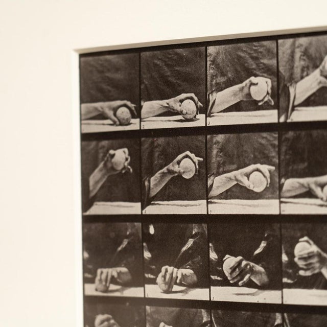 Eadweard Muybridge, Black and White Hand with Ball Movement, 1982, Photograph, Framed For Sale - Image 7 of 14
