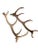 19th Century Swiss Black Forest Style Wood Carved Stag Deer Brienz For Sale - Image 4 of 11