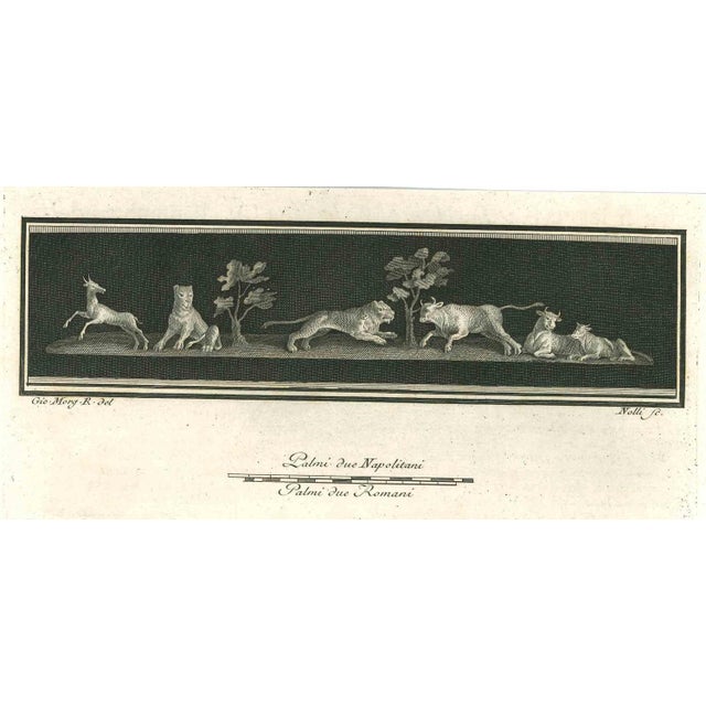 Ancient roman drawing, from the series "antiquities of herculaneum", is an original etching on paper realized by carlo...