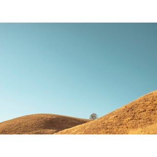 "Paso Robles" Contemporary Abstract Landscape Open Edition Print by Niqui Carter 30"x24" For Sale