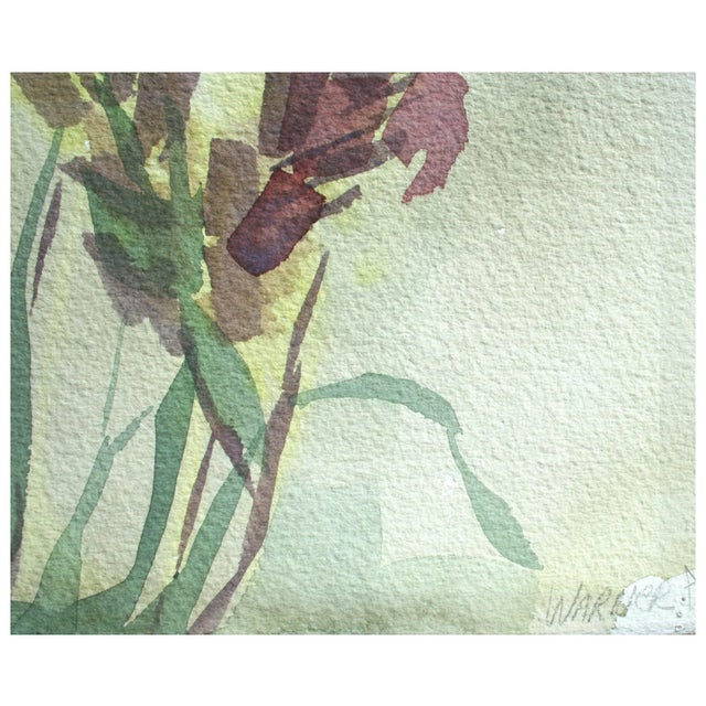 Doris Warner California Seascape and Botanical Study Double Sided Watercolor 1967 For Sale In Monterey, CA - Image 6 of 7