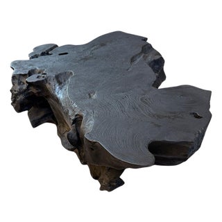 Andrianna Shamaris Sculptural Charred Teak Wood Coffee Table or Bench For Sale