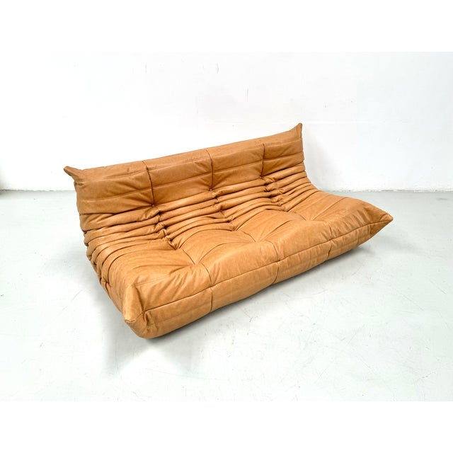 Mid-Century Modern French Three-Seater Togo Sofa in Leather by Michel Ducaroy for Ligne Roset For Sale - Image 3 of 9