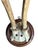Cabin Roe Deer Trophy 189 Black Forest Antlers For Sale - Image 3 of 5
