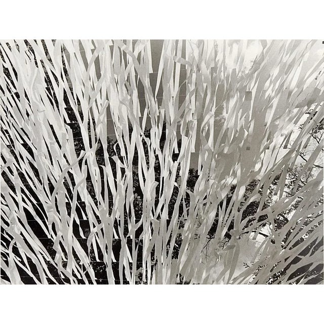 Abstract Mid 20th Century Abstract Streamers Photograph For Sale - Image 3 of 3