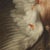 Attributable to Sinibaldo Scorza, Animals in Dark Background, Oil on Canvas For Sale - Image 8 of 12