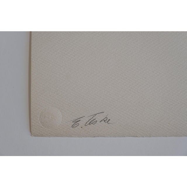 This portrait of Josephine Chuey fits nicely amongst a group of photographs taken around the same time by Teske who was...