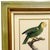 Green 1950s Framed French Ornithological Parrot Lithographs After Jacques Barraband - A Pair For Sale - Image 8 of 13