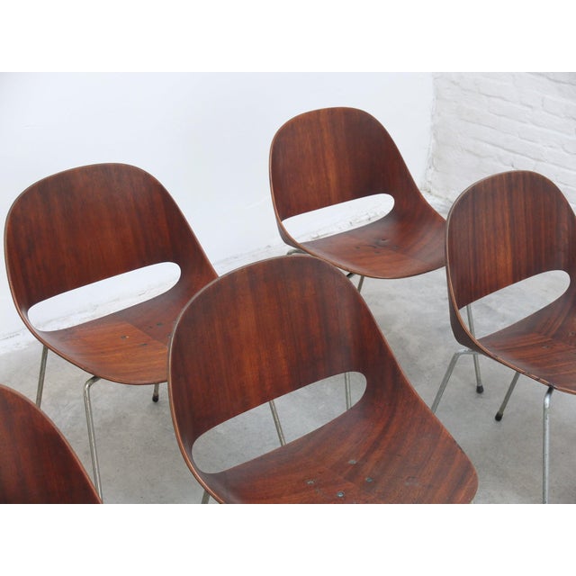 Sl58 Chairs by Léon Stynen, 1958, Set of 8 For Sale - Image 9 of 18