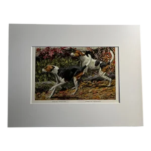 1919 Foxhound Print