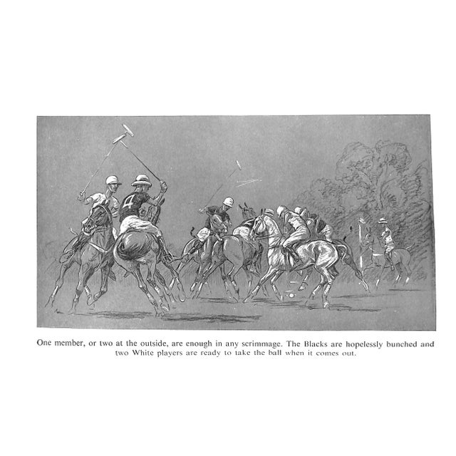 "Polo" 1955 Board, John For Sale - Image 9 of 12