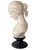 Italian Carved Marble Bust of a Young Woman For Sale - Image 13 of 16