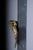 Patriotic Eagle Wall Decoration in Bronze Brass and Gold For Sale - Image 16 of 18
