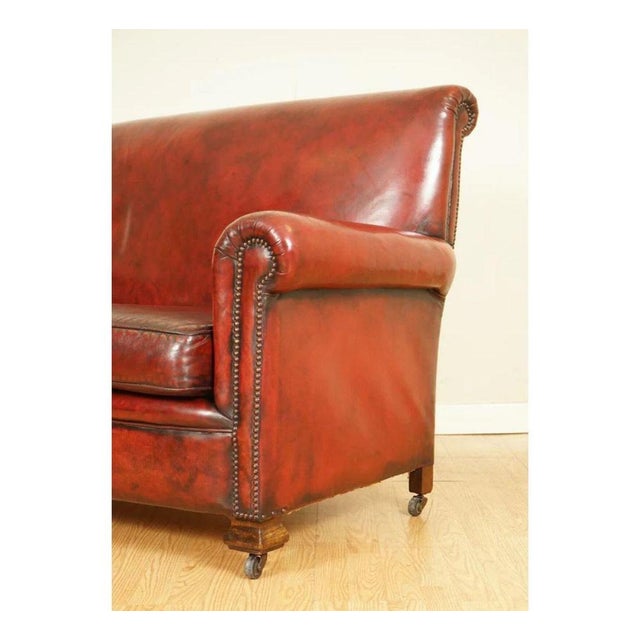Animal Skin Victorian Gentleman's Club Sofa in Hand-Dyed Burgundy Leather For Sale - Image 7 of 13