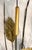 Brass 1970's Metal and Torch Cut Brass Wildflower Cat Tails Jere-Style Sculpture For Sale - Image 8 of 12