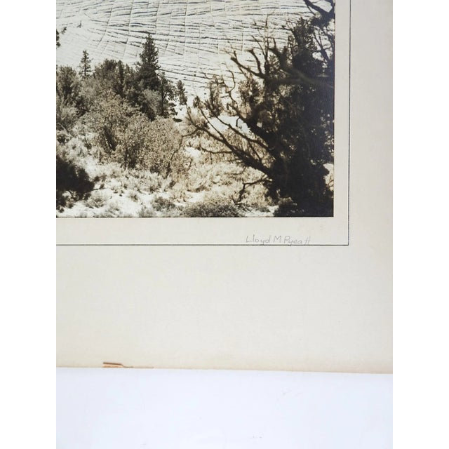 Mid-Century Modern 1950's Photograph Candy Mountain For Sale - Image 3 of 6