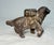 This exquisite antique early 1900's cast Iron saint bernard dog with pack still bank by A.C. Williams is a unique and...