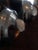 Pair of Etruscan Wall Sconces Karl Springer For Sale In Atlanta - Image 6 of 8
