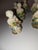 1940s Beautiful Antique Italian Capodimonte Figural Place Card Holders 12 For Sale - Image 5 of 11