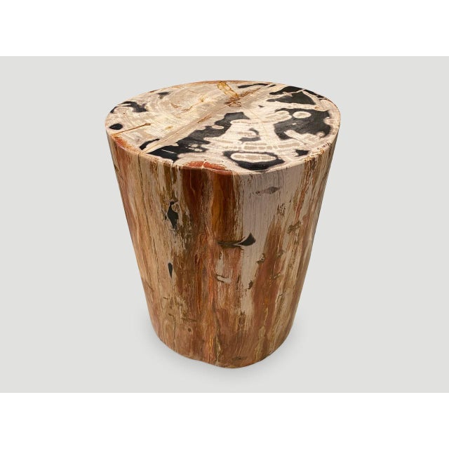 Andrianna Shamaris High Quality Petrified Wood Side Table For Sale In New York - Image 6 of 18