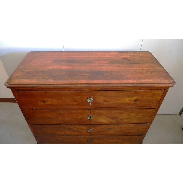 Antique Walnut Chest of Drawers. 1900s For Sale - Image 17 of 18