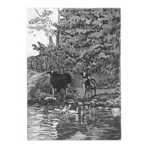 Marcia Davis Across the Pond Etching and Aquatint
