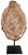 Mid-Century Modern Wood Fossil With Stand, 12" For Sale - Image 3 of 3
