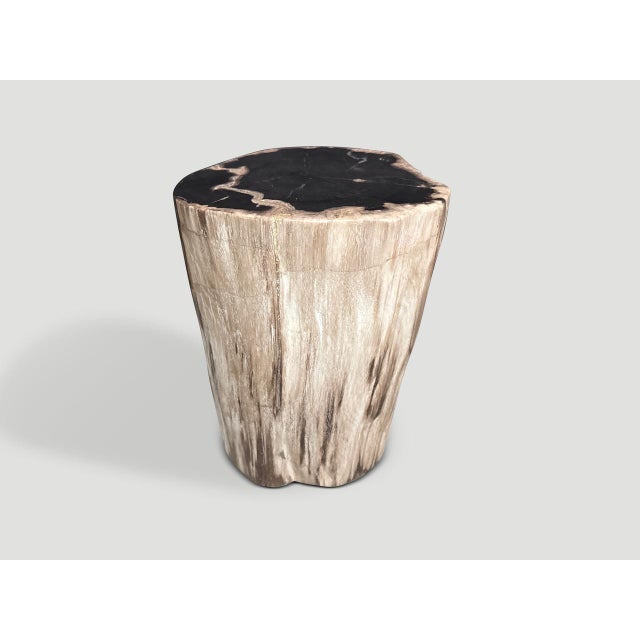 Beautiful beige and black tones on this minimalist ancient high quality petrified wood side table. It’s fascinating how...