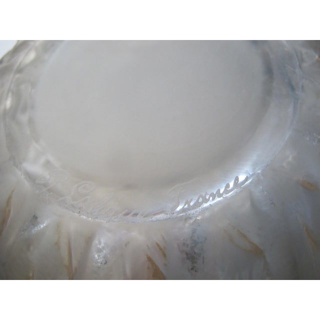 Rene Lalique France Marisa Fish Smoky Sepia Tone Art Deco Glass 9 1/2" Vase For Sale - Image 16 of 17