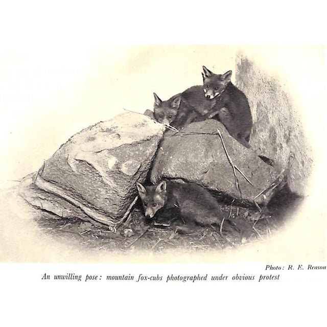 "The Way of a Fox" 1951 Leger-Gordon, D. St. For Sale - Image 9 of 9